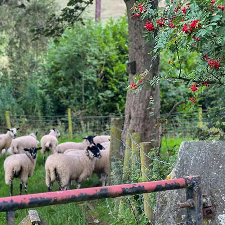 Сasa de vacaciones Farm Cottage, On A Working Farm In A Tranquil Setting *